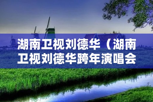湖南卫视刘德华（湖南卫视刘德华跨年演唱会2018）