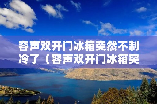 容声双开门冰箱突然不制冷了（容声双开门冰箱突然不制冷了怎么办）