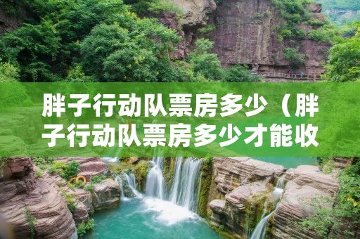 胖子行动队票房多少(胖子行动队票房多少才能收回成本) 胖子行动队票房多少(胖子行动队票房多少才能收回成本)