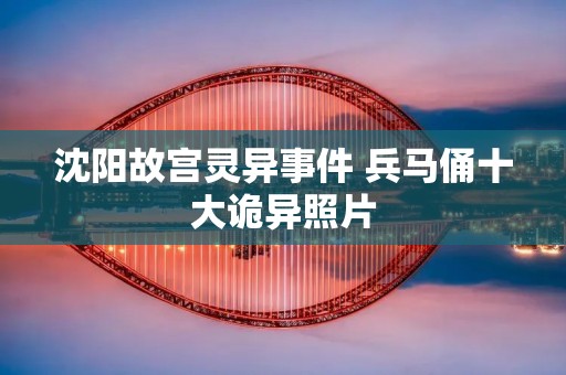 沈阳故宫灵异事件 兵马俑十大诡异照片