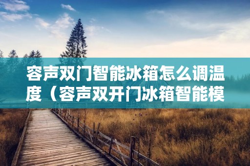 容声双门智能冰箱怎么调温度（容声双开门冰箱智能模式温度是多少）
