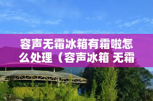 容声无霜冰箱有霜啦怎么处理（容声冰箱 无霜）