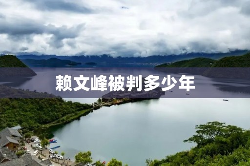 赖文峰被判多少年