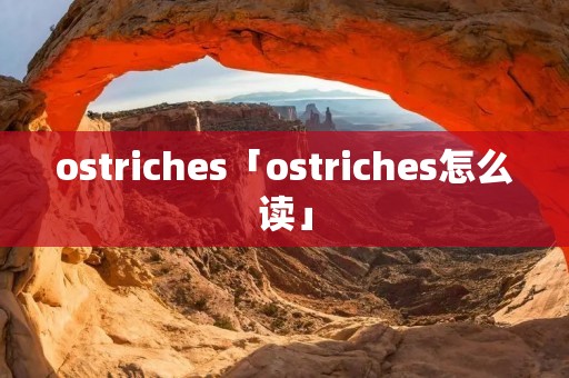 ostriches「ostriches怎么读」