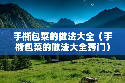 手撕包菜的做法大全（手撕包菜的做法大全窍门）