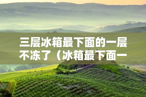 三层冰箱最下面的一层不冻了（冰箱最下面一个抽屉不冷冻）