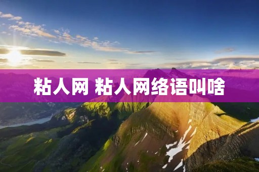 粘人网 粘人网络语叫啥