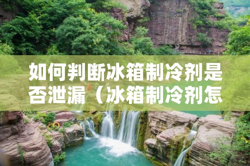 如何判断冰箱制冷剂是否泄漏（冰箱制冷剂怎么看是不是漏了）