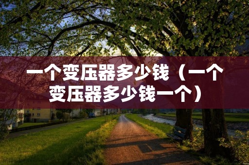 一个变压器多少钱（一个变压器多少钱一个）