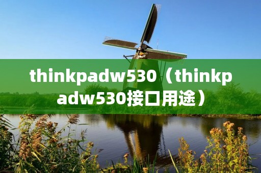 thinkpadw530(thinkpadw530接口用途) thinkpadw530(thinkpadw530接口用途)