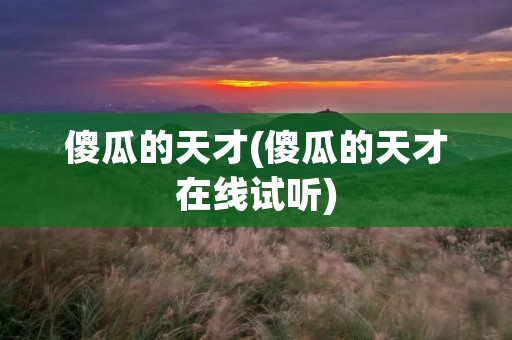 傻瓜的天才(傻瓜的天才在线试听) 傻瓜的天才(傻瓜的天才在线试听)