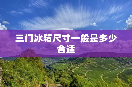 三门冰箱尺寸一般是多少合适