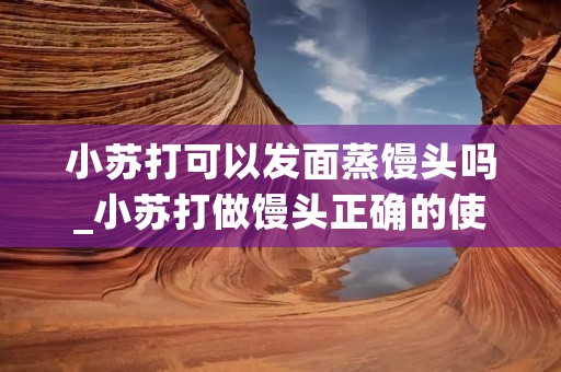 小苏打可以发面蒸馒头吗_小苏打做馒头正确的使用方法