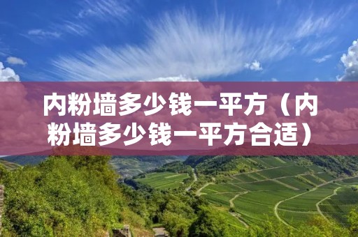 内粉墙多少钱一平方（内粉墙多少钱一平方合适）