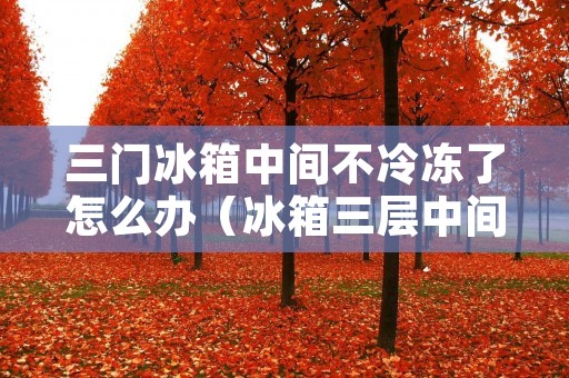 三门冰箱中间不冷冻了怎么办（冰箱三层中间那层不冻）