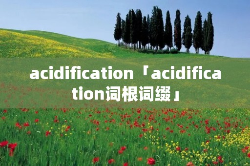 acidification「acidification词根词缀」