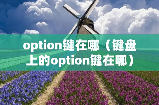 option键在哪（键盘上的option键在哪）