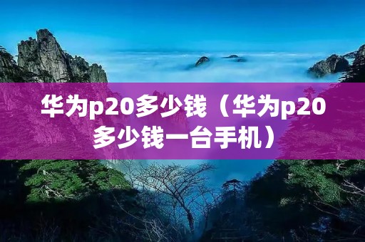 华为p20多少钱(华为p20多少钱一台手机) 华为p20多少钱(华为p20多少钱一台手机)
