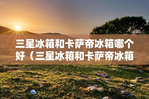 三星冰箱和卡萨帝冰箱哪个好（三星冰箱和卡萨帝冰箱哪个好些）