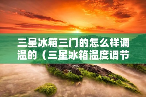 三星冰箱三门的怎么样调温的（三星冰箱温度调节步骤二开门）