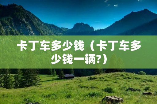 卡丁车多少钱(卡丁车多少钱一辆?) 卡丁车多少钱(卡丁车多少钱一辆?)