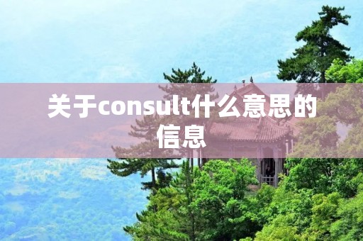 关于consult什么意思的信息 关于consult什么意思的信息