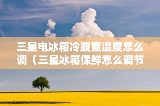 三星电冰箱冷藏室温度怎么调（三星冰箱保鲜怎么调节温度）