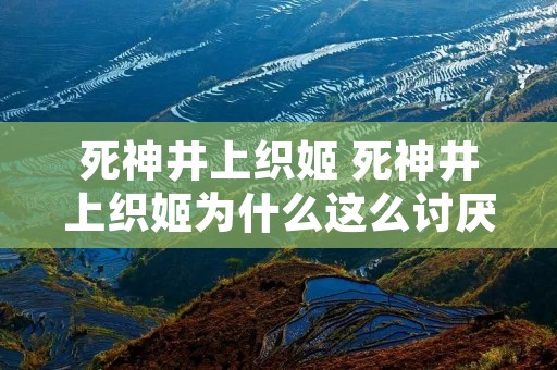 死神井上织姬 死神井上织姬为什么这么讨厌