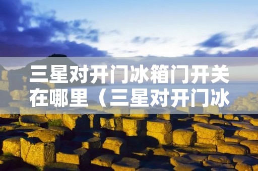 三星对开门冰箱门开关在哪里（三星对开门冰箱说明书图解）