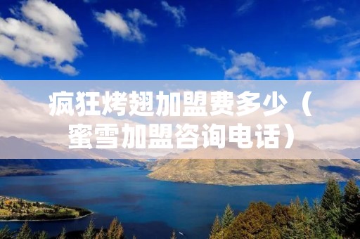 疯狂烤翅加盟费多少(蜜雪加盟咨询**) 疯狂烤翅加盟费多少(蜜雪加盟咨询**)