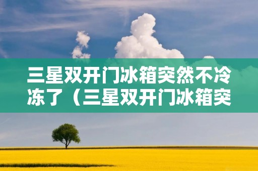 三星双开门冰箱突然不冷冻了（三星双开门冰箱突然不冷冻了怎么维修）