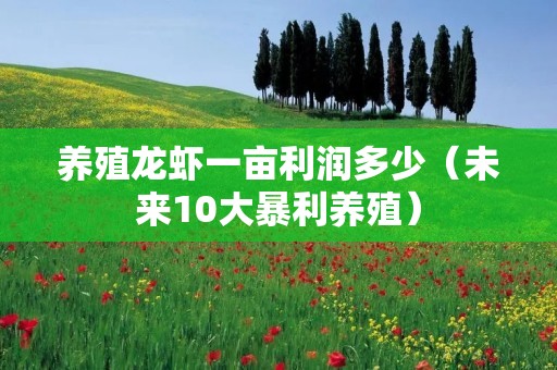 养殖龙虾一亩利润多少(未来10大暴利养殖) 养殖龙虾一亩利润多少(未来10大暴利养殖)