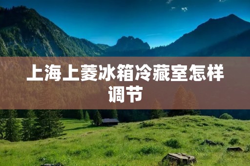 上海上菱冰箱冷藏室怎样调节
