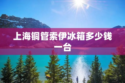 上海铜管索伊冰箱多少钱一台