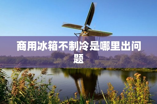 商用冰箱不制冷是哪里出问题