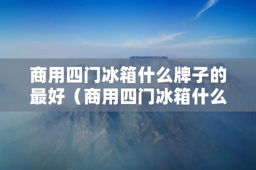 商用四门冰箱什么牌子的最好（商用四门冰箱什么牌子的最好用）
