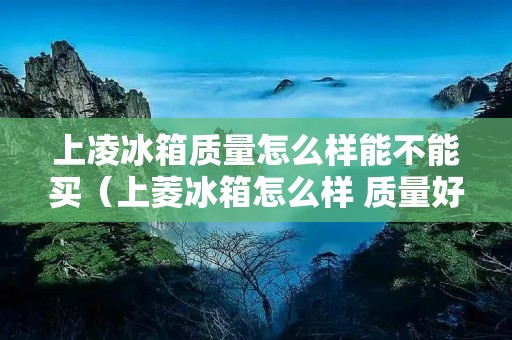 上凌冰箱质量怎么样能不能买（上菱冰箱怎么样 质量好吗）