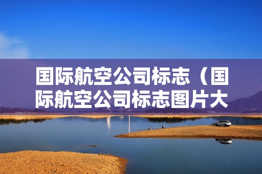 国际航空公司标志（国际航空公司标志图片大全高清）