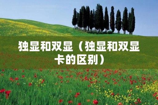 独显和双显（独显和双显卡的区别）
