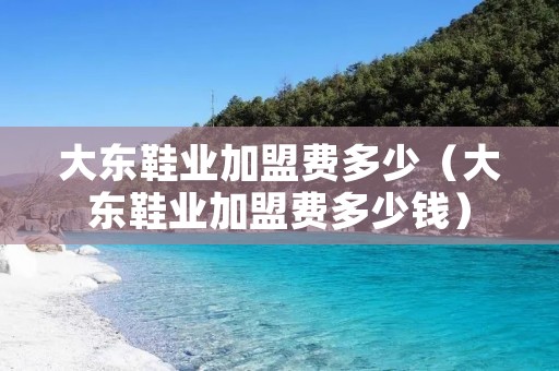 大东鞋业加盟费多少（大东鞋业加盟费多少钱）