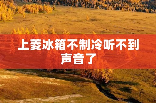 上菱冰箱不制冷听不到声音了