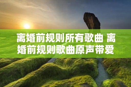 离婚前规则所有歌曲 离婚前规则歌曲原声带爱就爱吧