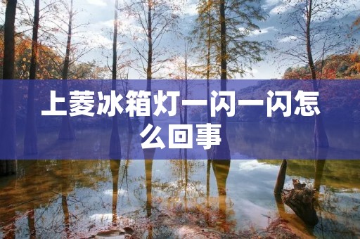 上菱冰箱灯一闪一闪怎么回事