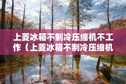 上菱冰箱不制冷压缩机不工作（上菱冰箱不制冷压缩机不工作什么原因）