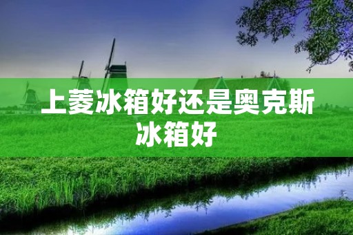 上菱冰箱好还是奥克斯冰箱好