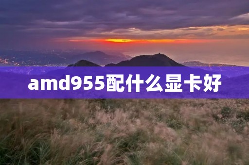 amd955配什么显卡好