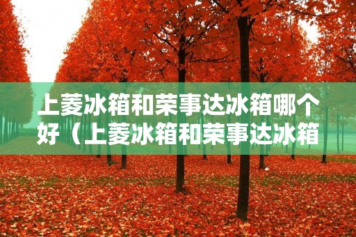 上菱冰箱和荣事达冰箱哪个好（上菱冰箱和荣事达冰箱哪个好）