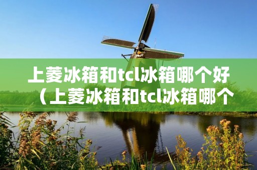 上菱冰箱和tcl冰箱哪个好（上菱冰箱和tcl冰箱哪个好些）