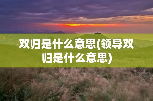 双归是什么意思(领导双归是什么意思)