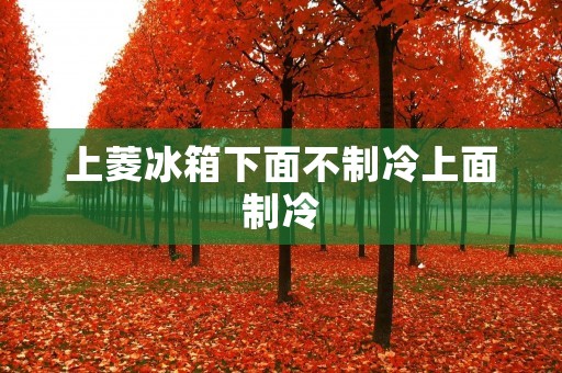 上菱冰箱下面不制冷上面制冷